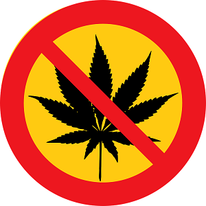 Survey finds 2 in 3 youths who consume legal highs will ignore future ban